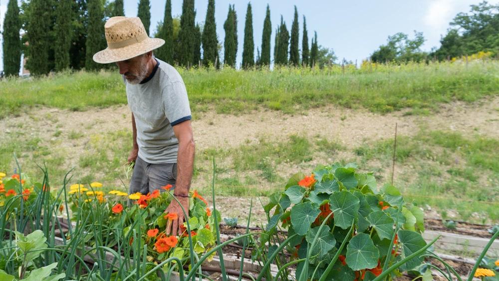 Agriturismo Monastero Di San Biagio Nocera Umbra Luaran gambar